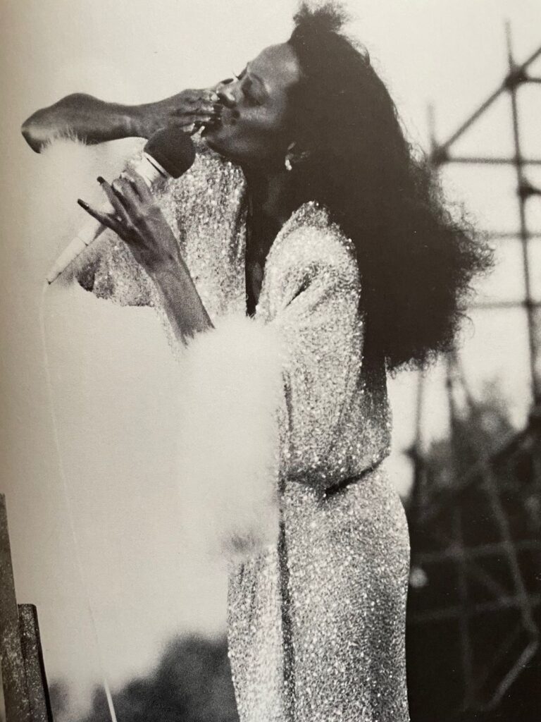 Diana Ross ve Efsanevi Central Park Konseri (1983)