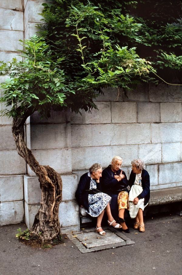 5657f8e9b79aea97acf0ead74d20d038