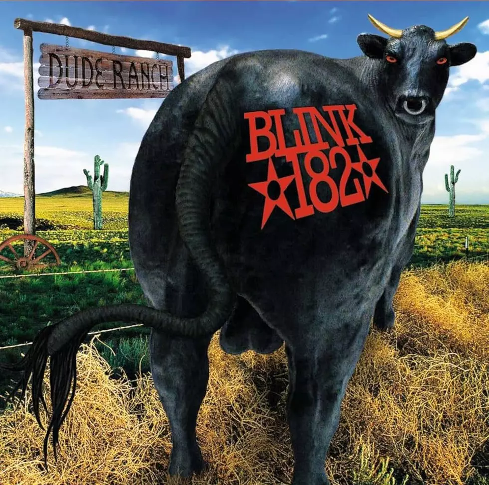 attachment blink 182 dude ranch.jpg