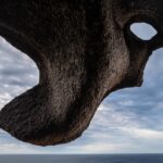 Bir Fotoğraftan Fazlası: Doğanın Gizli Estetiğini Yakalamak