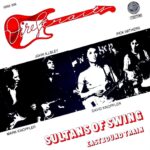 SULTANS OF SWING: BİR PUB GECESİ NASIL ROCK TARİHİNE DÖNÜŞTÜ?